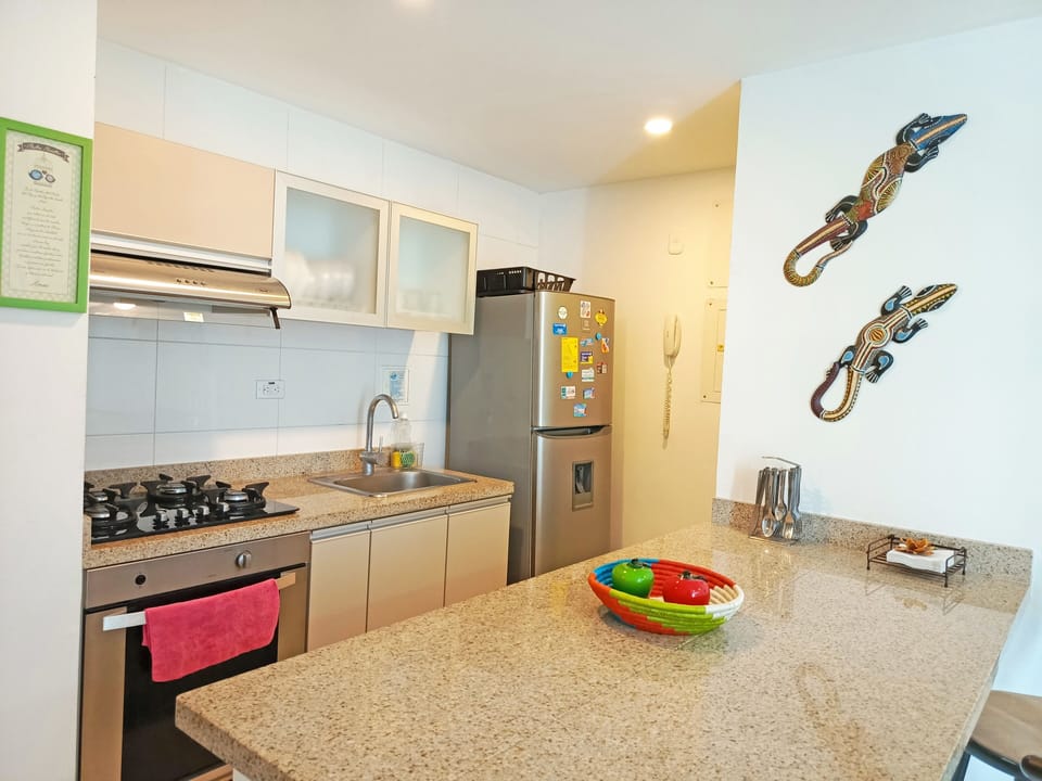 Standard Apartment, City View | Private kitchen | Full-size fridge, oven, stovetop, blender