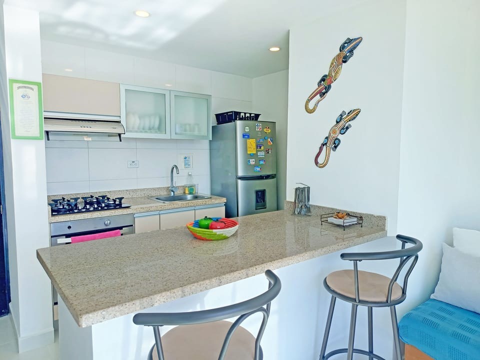 Standard Apartment, City View | Private kitchen | Full-size fridge, oven, stovetop, blender