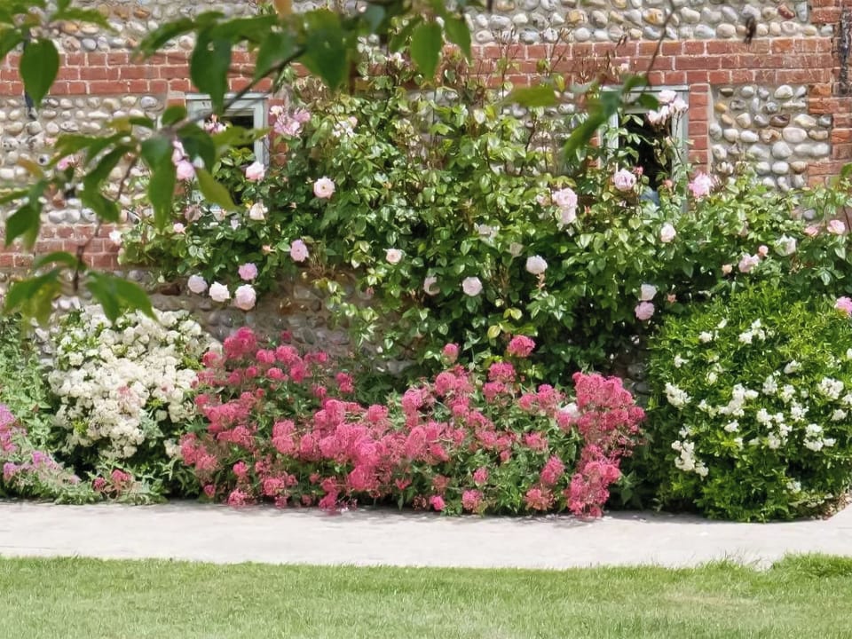 Garden | The Gig House, Ridlington