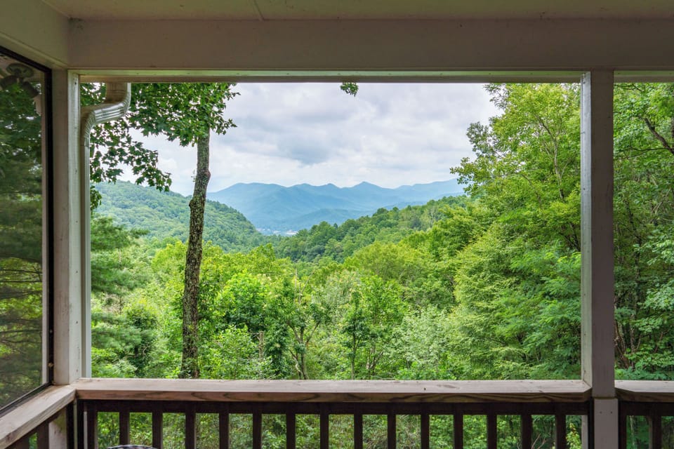 Deck View