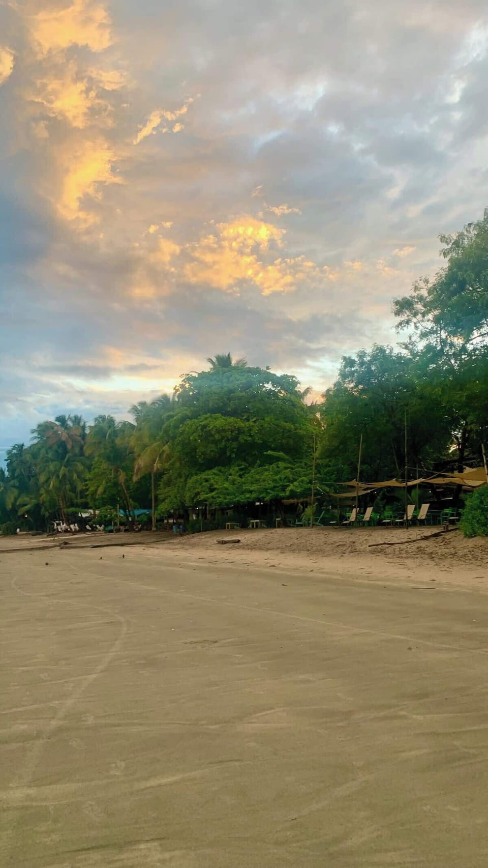 Beachside Lounges & Bars-5 Minute Walk