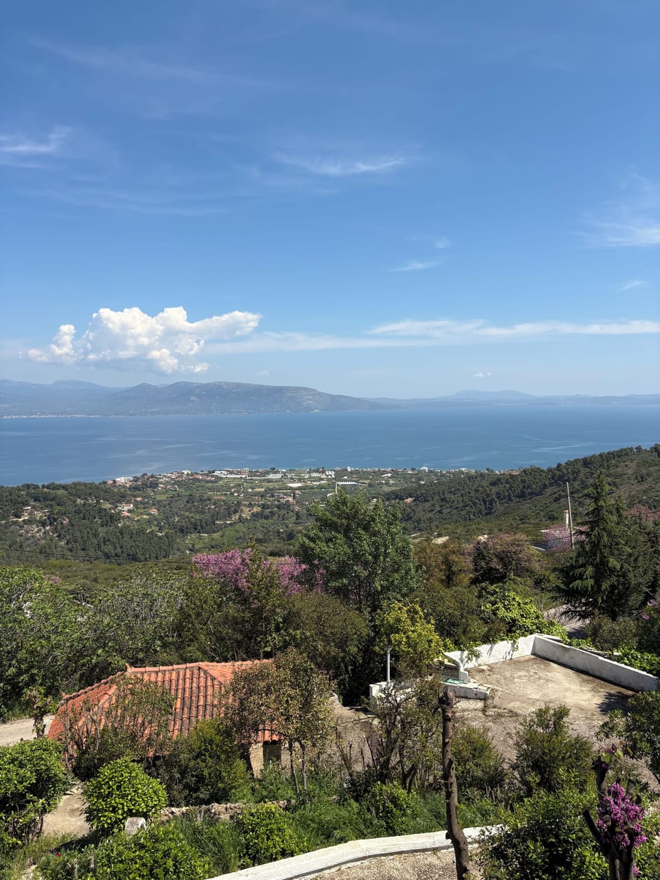 View from property