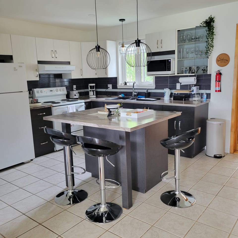 kitchen main level 