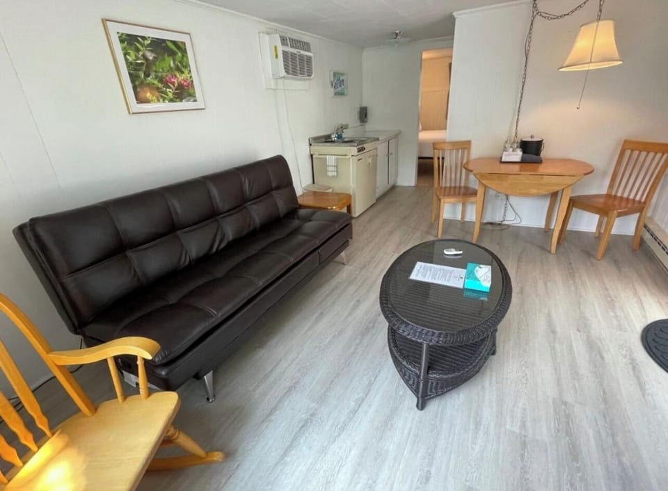 Apartment, 1 Bedroom, Kitchenette | Living area | 52-inch TV with cable channels, books, stereo