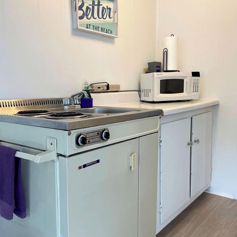 Apartment, 1 Bedroom, Kitchenette | Private kitchen | Mini-fridge, microwave