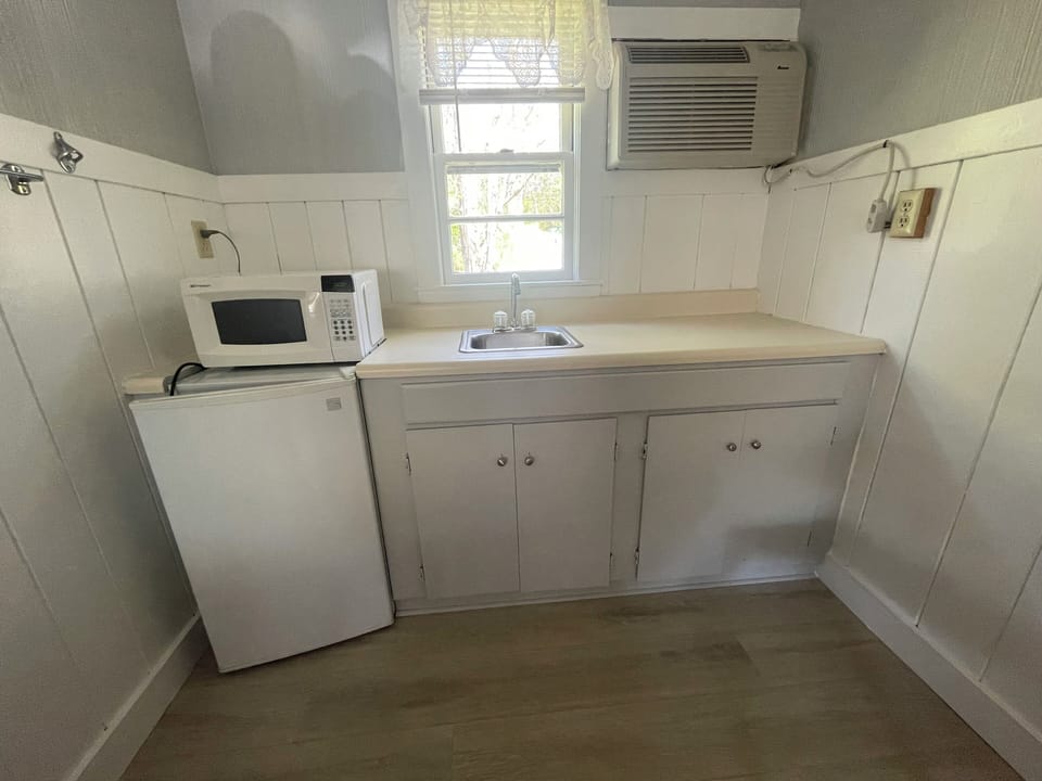 Premium Double Room, 2 Queen Beds, Kitchenette | Private kitchen | Mini-fridge, microwave