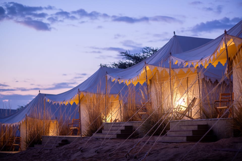Standard Tent | Terrace/patio