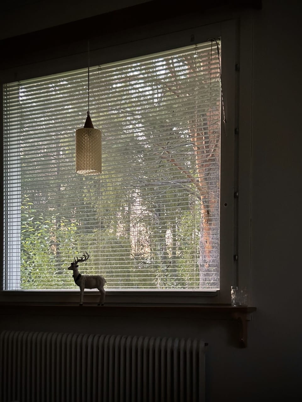 Summertime view from lounge window 