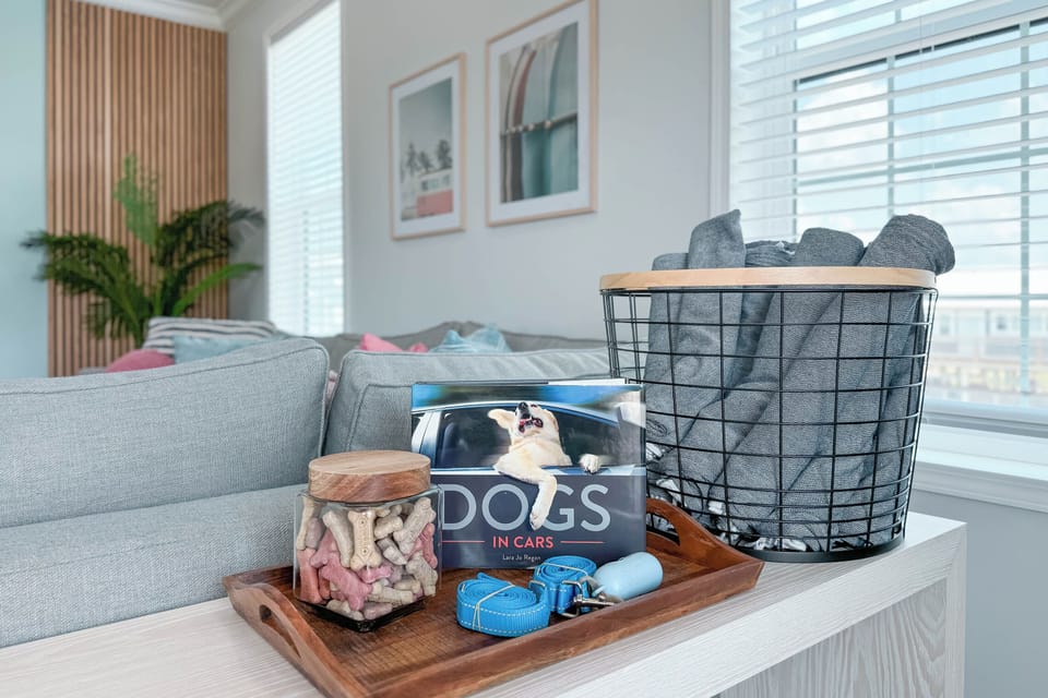Definitely bring Fido!! The beach is even dog friendly!
