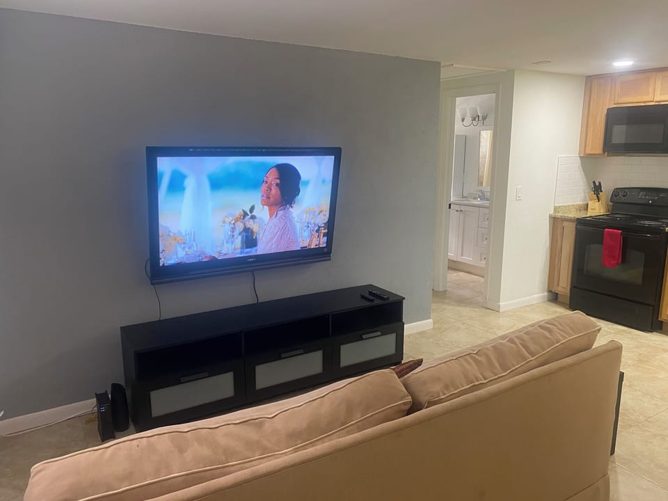 55 inch TV