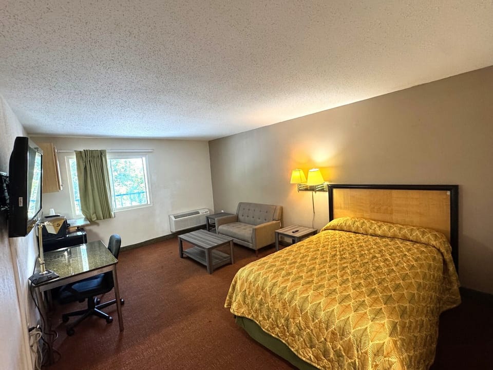 Signature Single Room, 1 King Bed | Living area