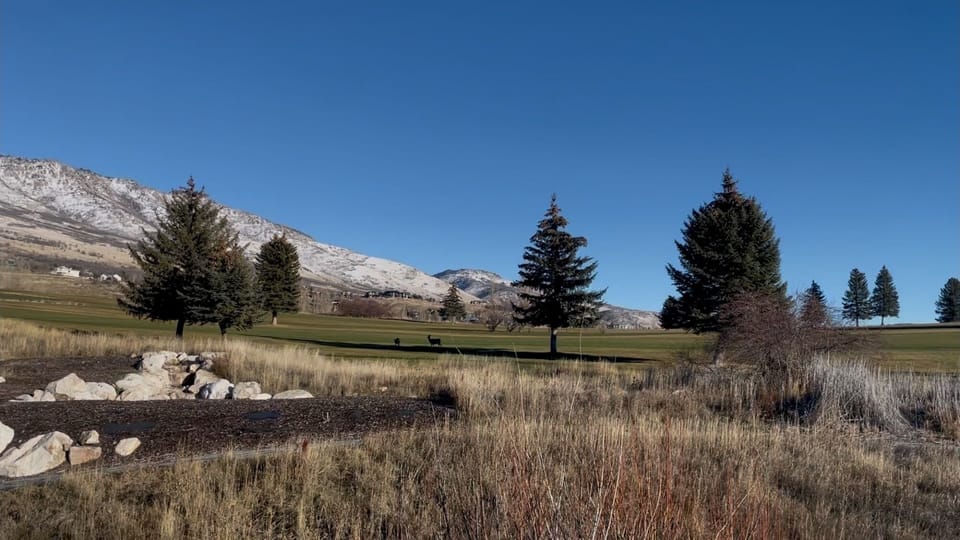 Golf course view from living room deck