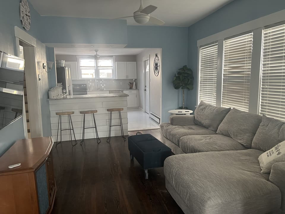 Living and Kitchen Area