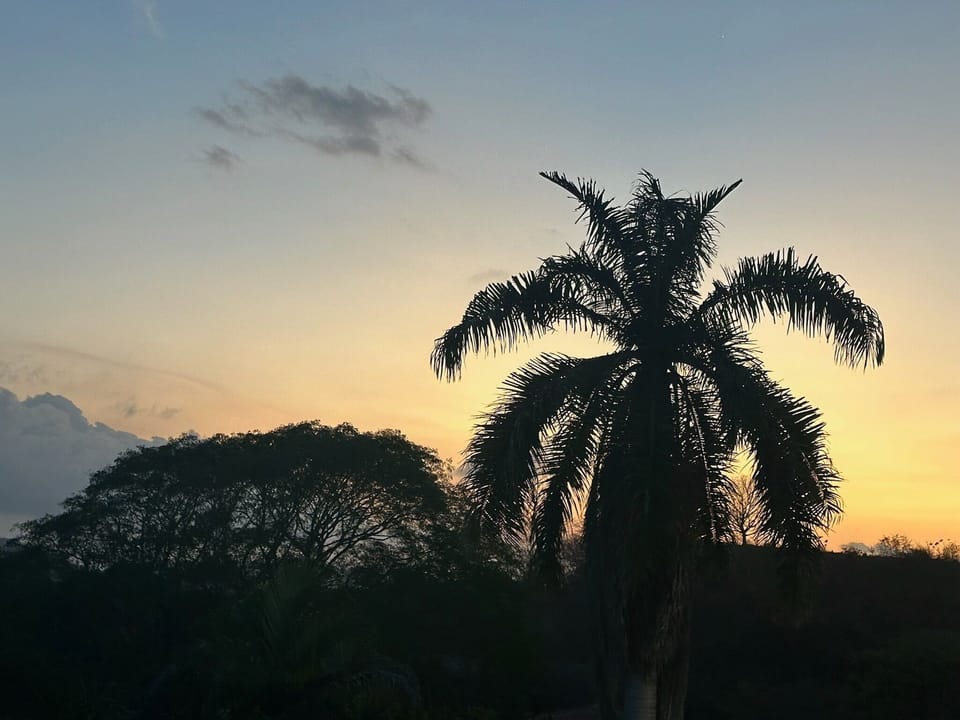 Amazing sunsets!