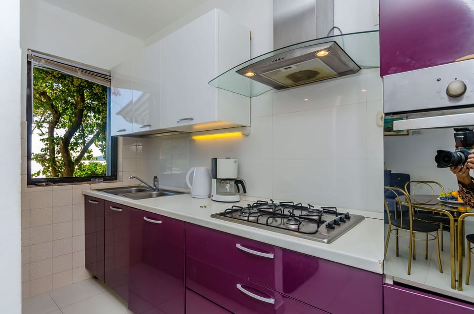House | Private kitchen | Fridge, oven, stovetop, dishwasher