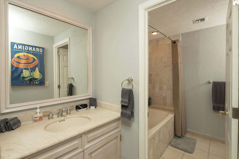 Master Bathroom with Tub