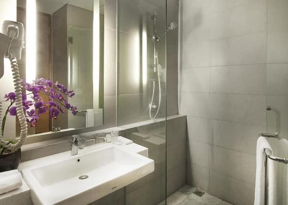 Shower, free toiletries, hair dryer, slippers