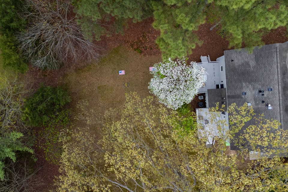 Large lot and lots of privacy! 