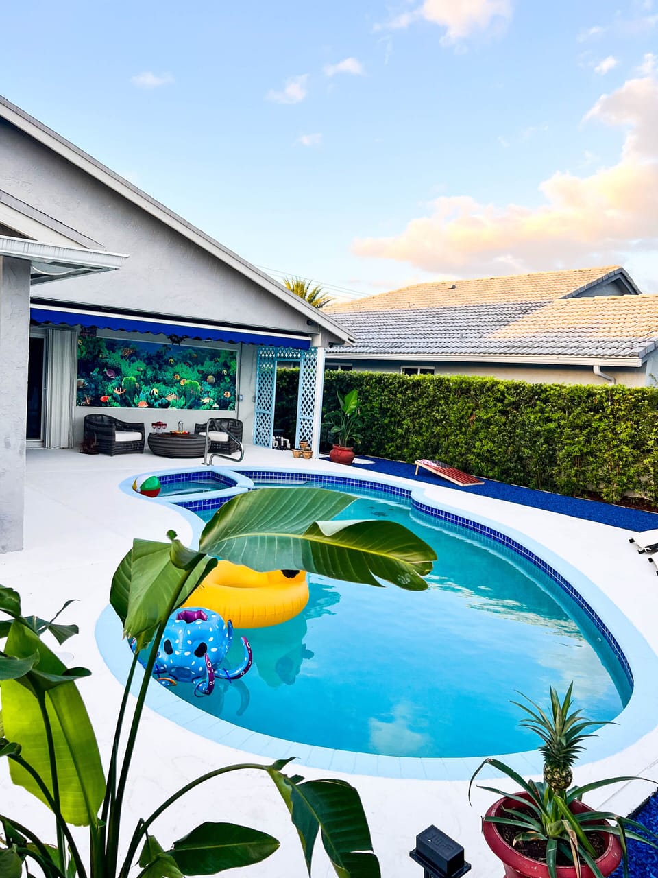 Stunning view of my swimming pool from the back of the house 

