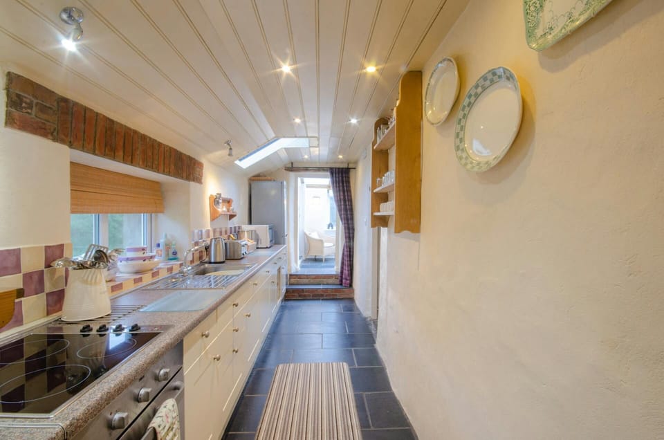Tal y Gaer galley kitchen with steps and door leading to conservatory