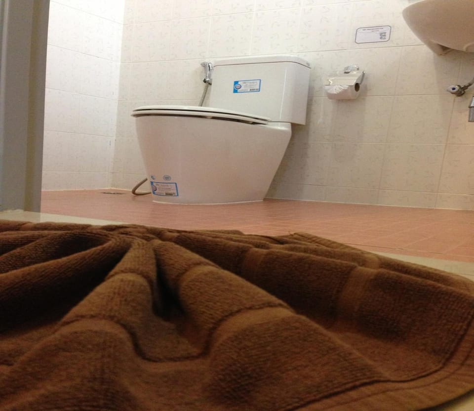 Shower, free toiletries, hair dryer