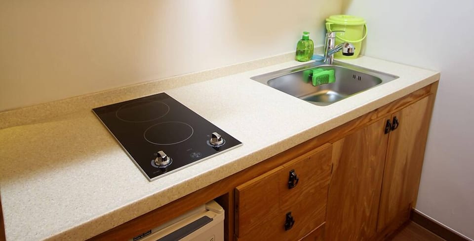 Standard Double Room | Private kitchenette | Fridge, microwave, stovetop, rice cooker
