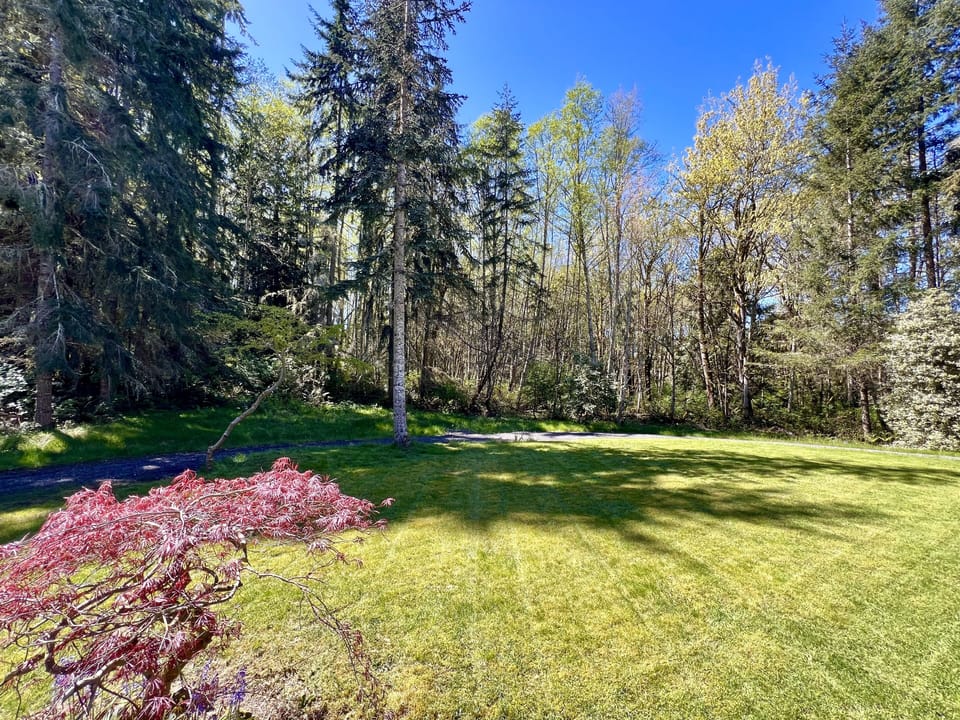 Back lawn, perfect for a small picnic. Outdoor space for the kiddos.