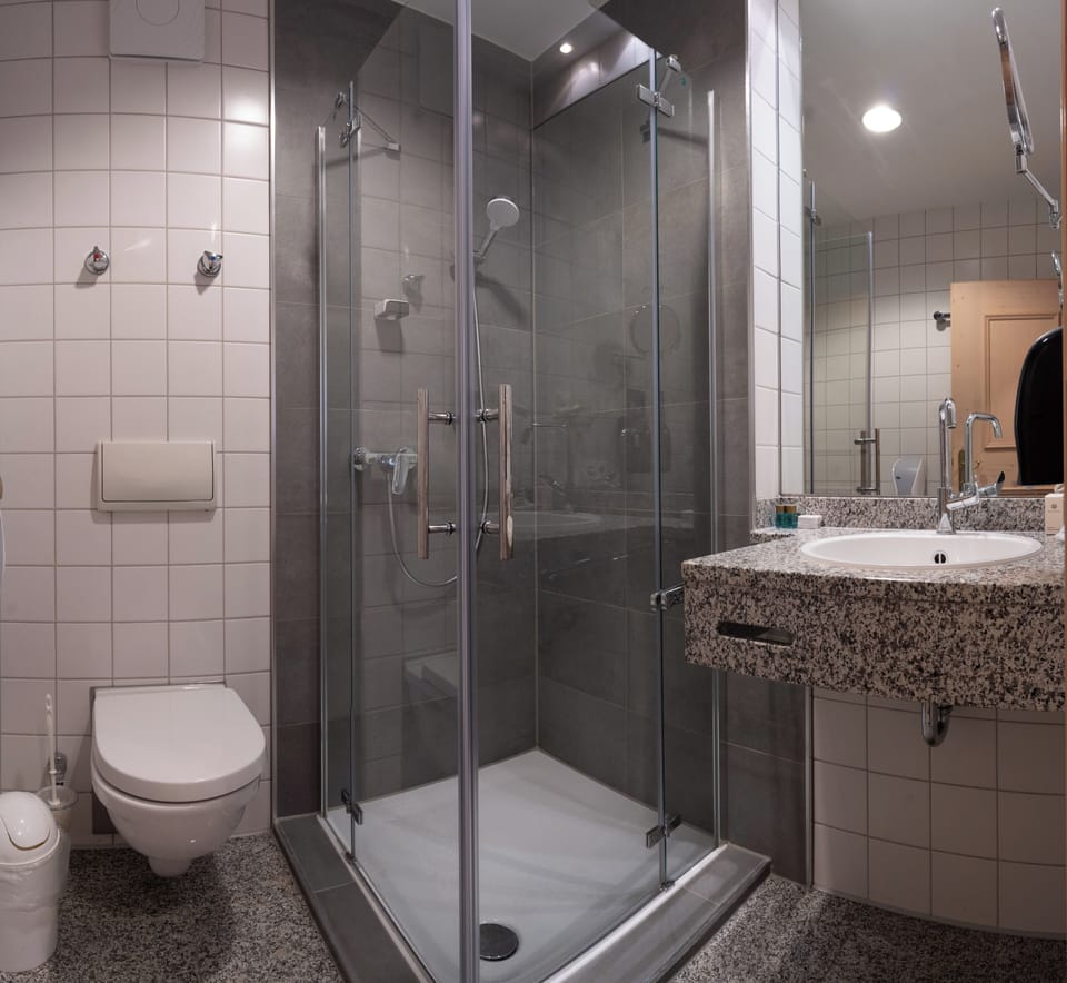 Shower, free toiletries, hair dryer, towels