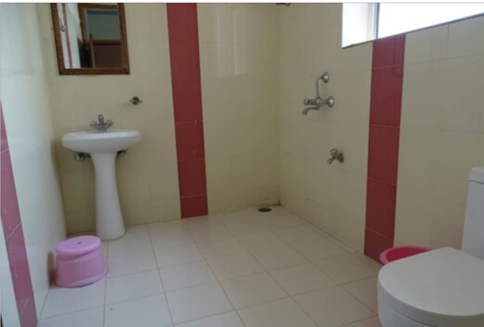 Shower, towels, soap, toilet paper
