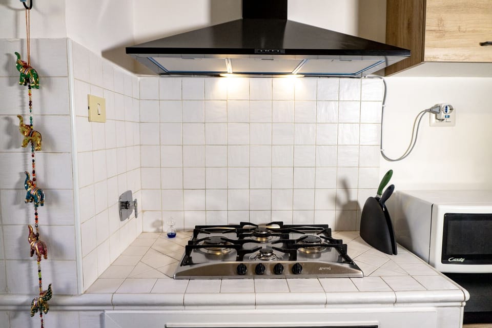 Full-size fridge, microwave, oven, stovetop