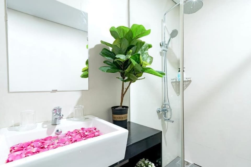 Shower, hair dryer, slippers, bidet
