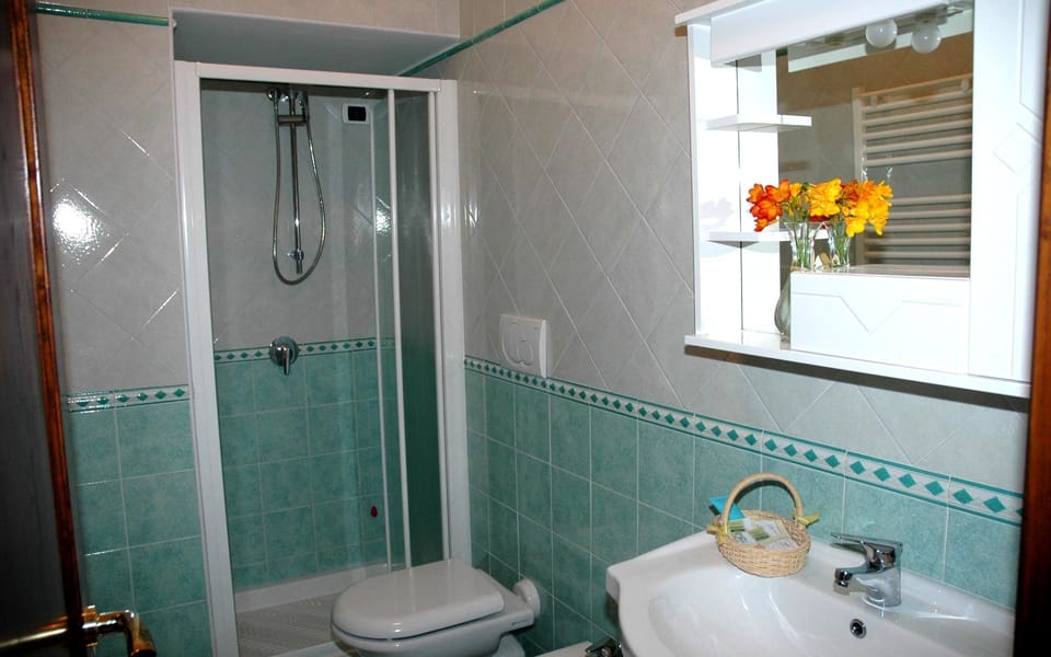 Shower, rainfall showerhead, hair dryer, bidet