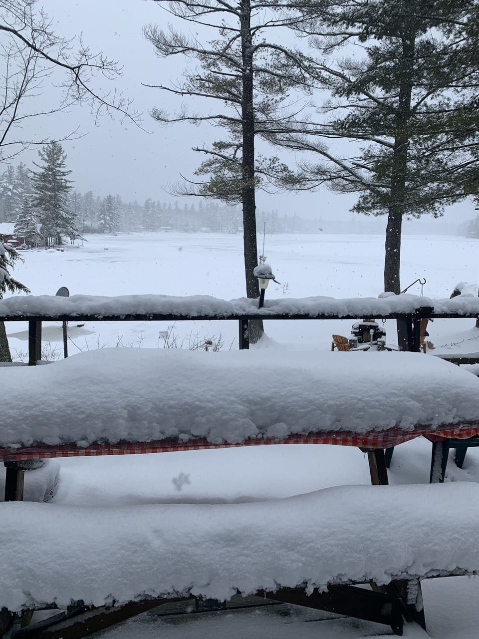 View from property