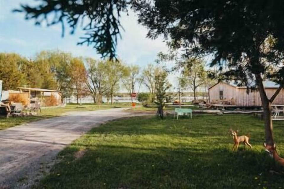 Rv Park View Facing the Water