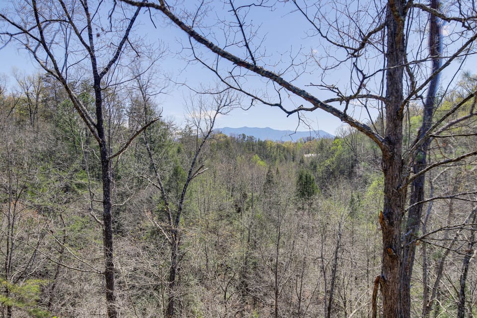 Mountain Views