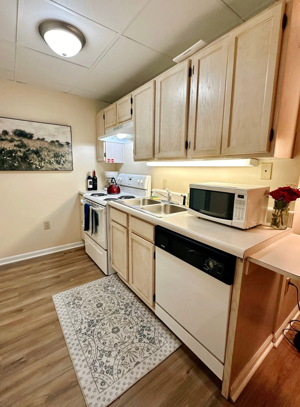 Studio (2 Bedrooms) | Private kitchen | Fridge, microwave, oven, stovetop