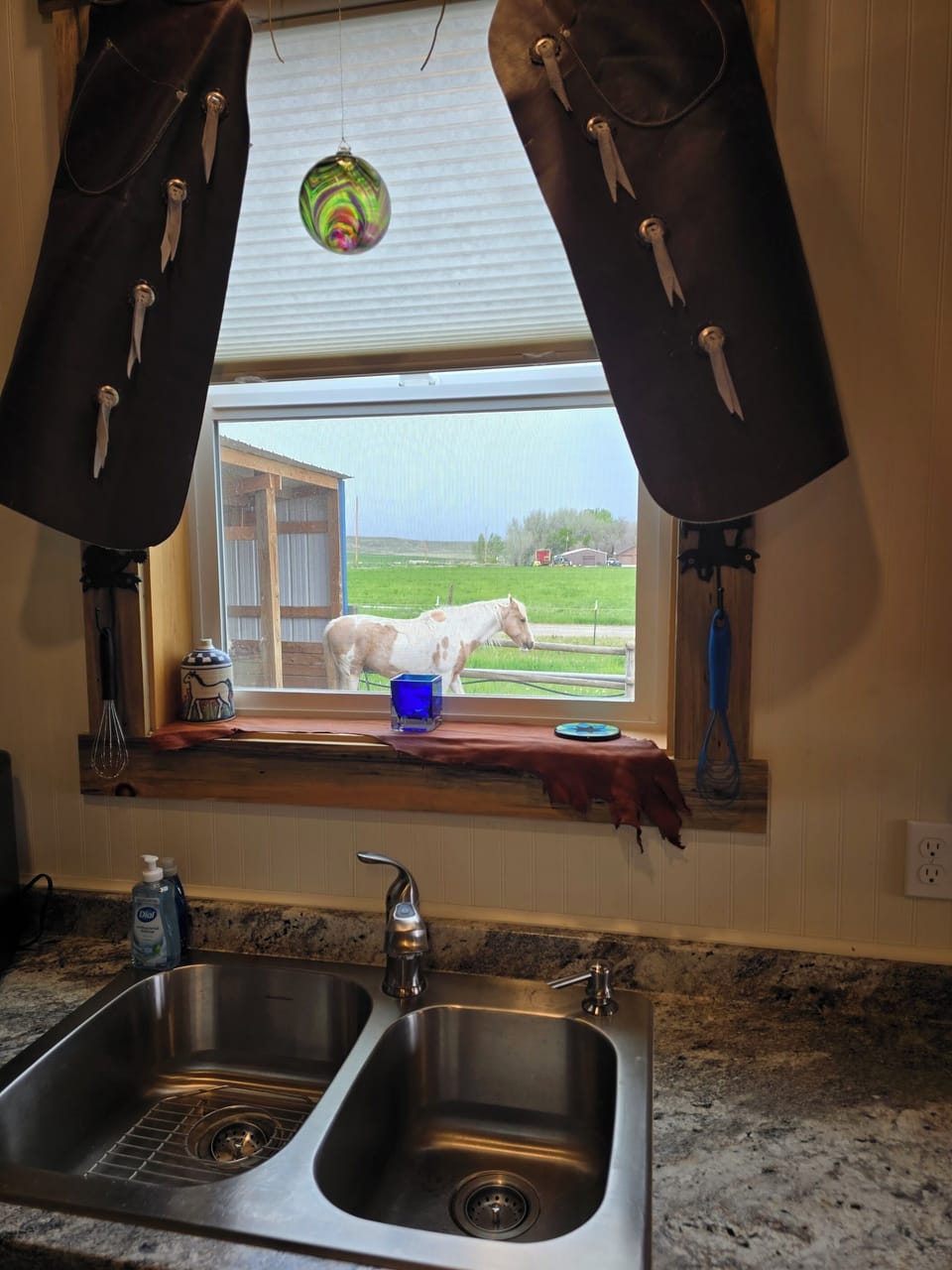 Views from the kitchen window.