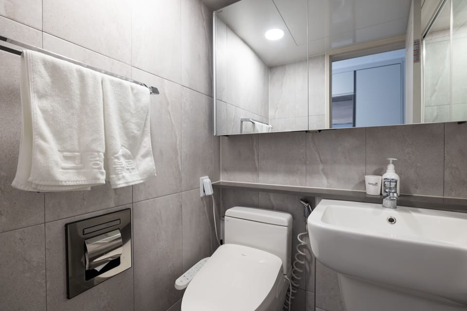Shower, hair dryer, slippers, bidet