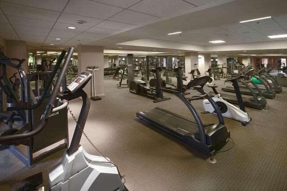 The Gymnasium