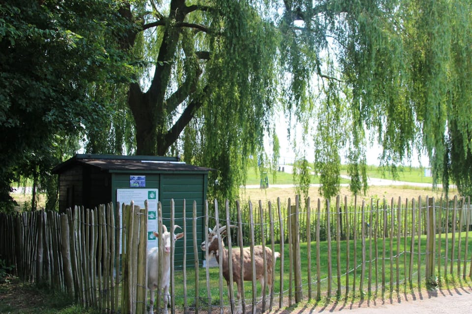 Holiday Park Facilities and Services 