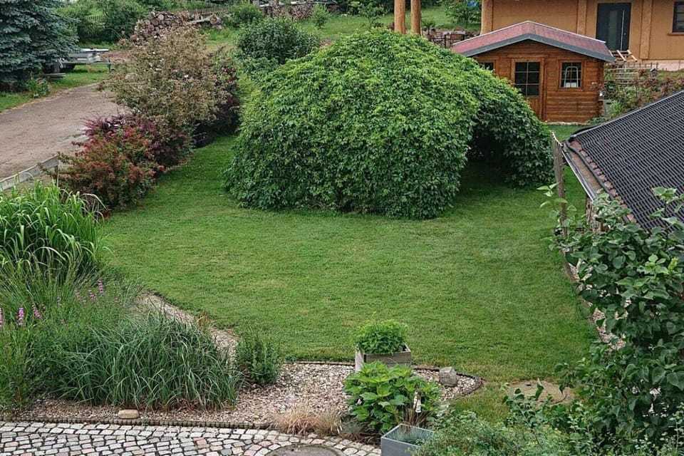 Garden [summer]