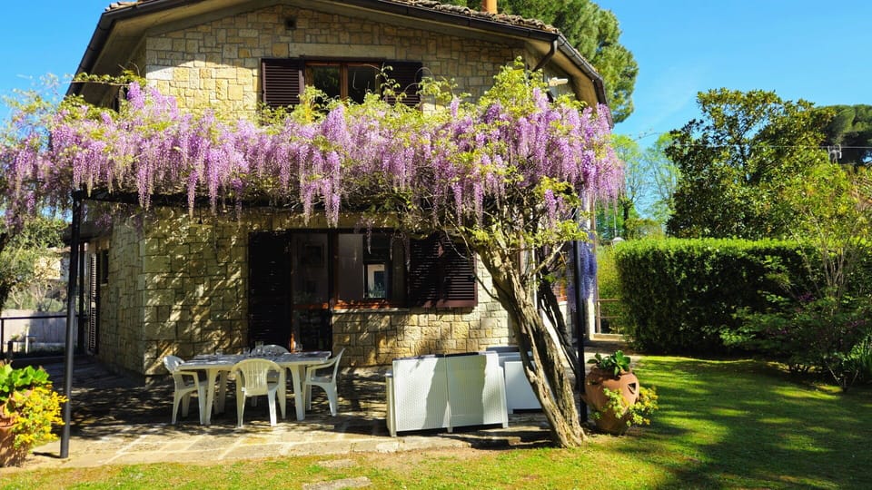 Balcony / Terrace / Patio, Dining Room, Outdoor