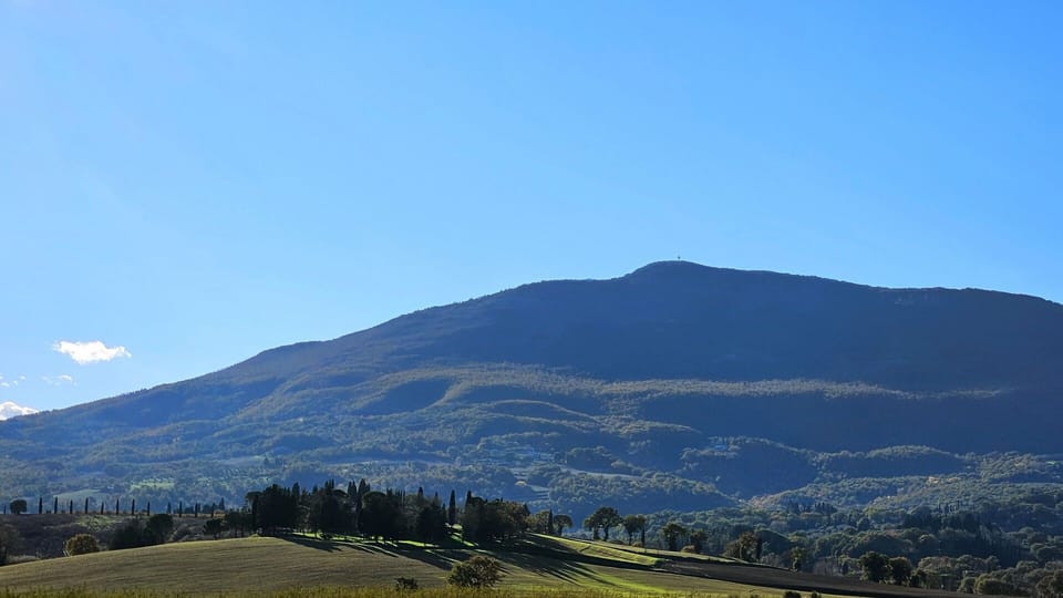 Scenic View