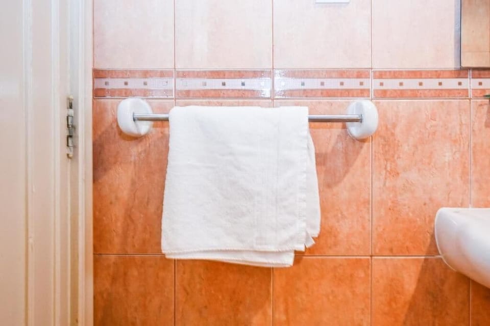Separate tub and shower, bidet, towels, soap