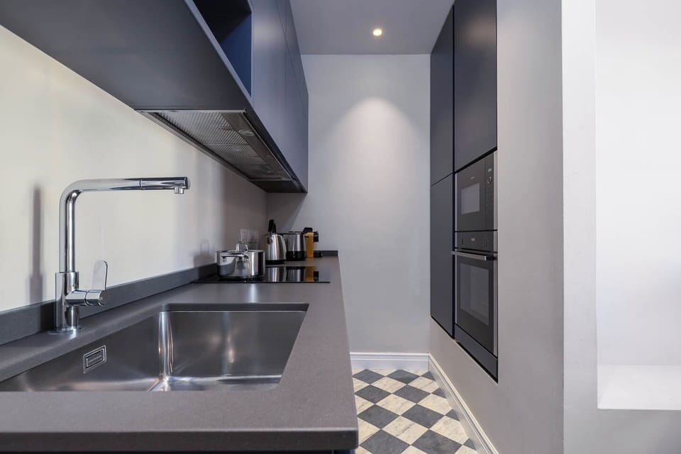 Panoramic Apartment, City View | Private kitchen | Full-size fridge, oven, stovetop, dishwasher