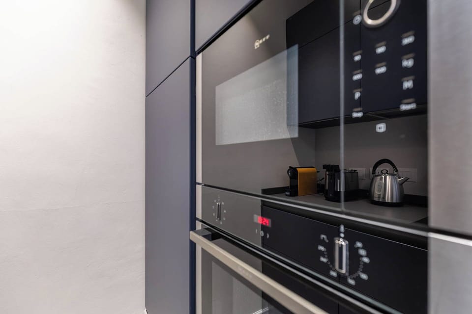 Panoramic Apartment, City View | Private kitchen | Full-size fridge, oven, stovetop, dishwasher
