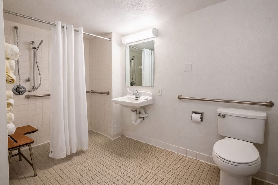 Standard Studio, 1 Queen Bed, Accessible, Non Smoking (Roll-In Shower) | Bathroom | Shower, free toiletries, towels