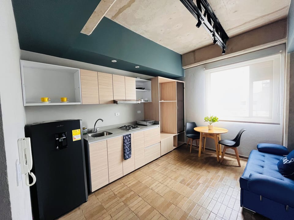 Luxury Double Room | Private kitchen | Fridge, blender, cookware/dishes/utensils, cleaning supplies