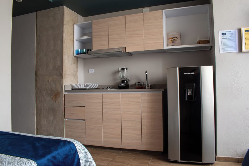 Deluxe Room | Private kitchen | Fridge, blender, cookware/dishes/utensils, cleaning supplies