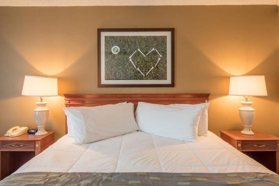 Sleeping Area